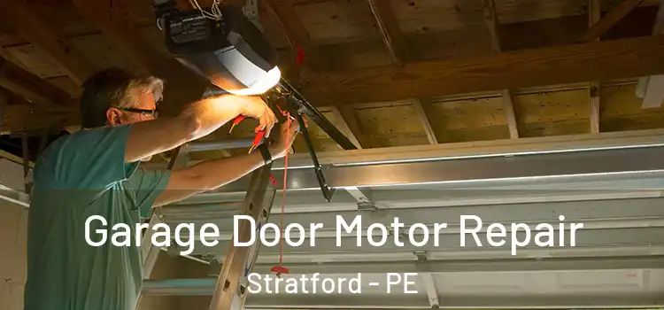  Garage Door Motor Repair Stratford - PE